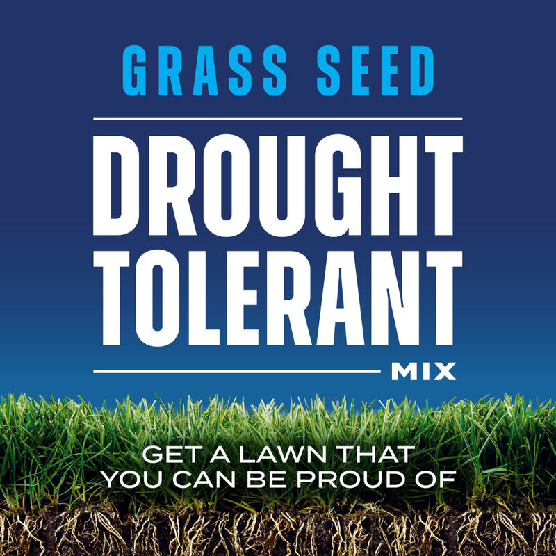 Scotts® Grass Seed Drought Tolerant Mix image number null